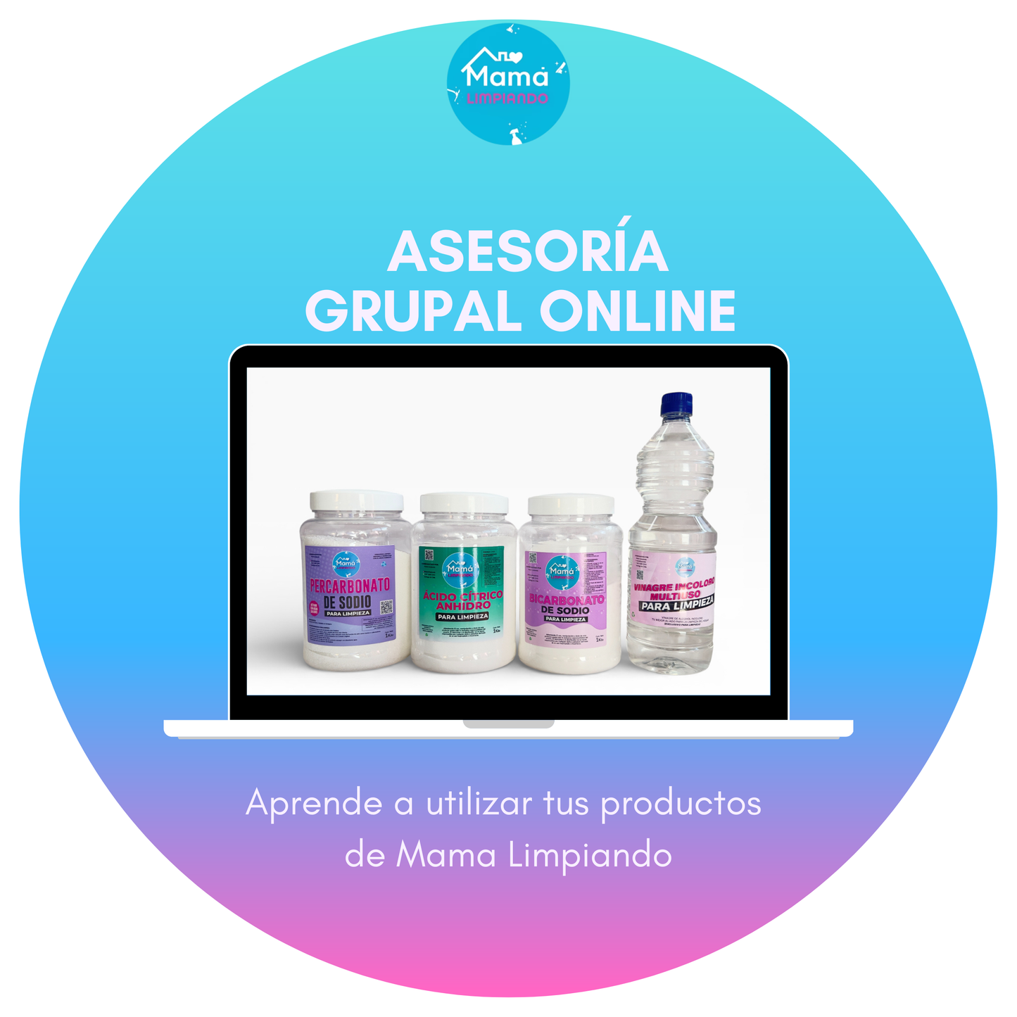 Asesoría Grupal Online Mamá Limpiando